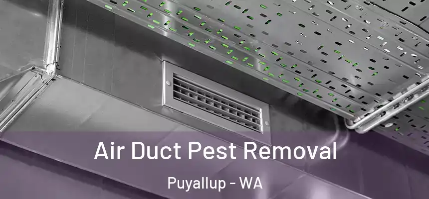  Air Duct Pest Removal Puyallup - WA