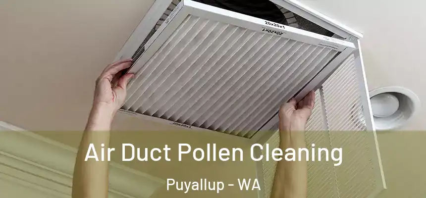  Air Duct Pollen Cleaning Puyallup - WA