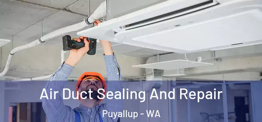  Air Duct Sealing And Repair Puyallup - WA