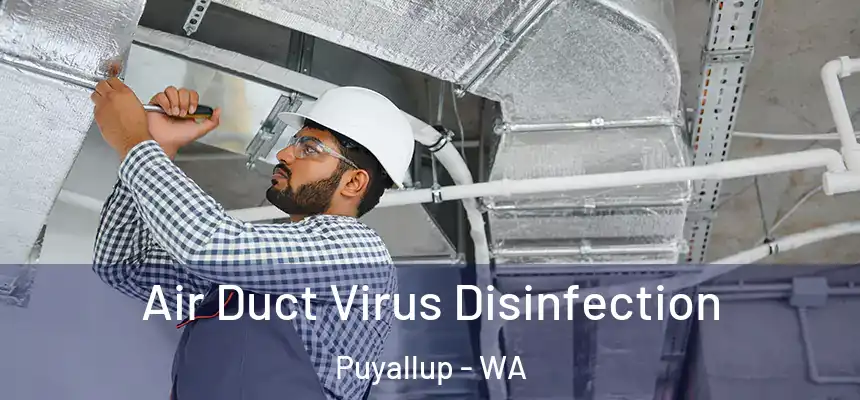  Air Duct Virus Disinfection Puyallup - WA