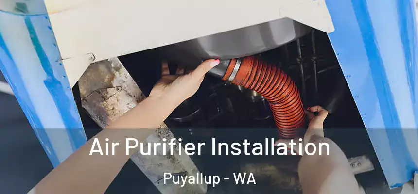  Air Purifier Installation Puyallup - WA