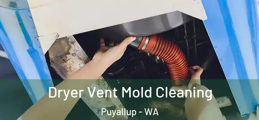  Dryer Vent Mold Cleaning Puyallup - WA
