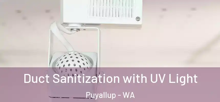  Duct Sanitization with UV Light Puyallup - WA