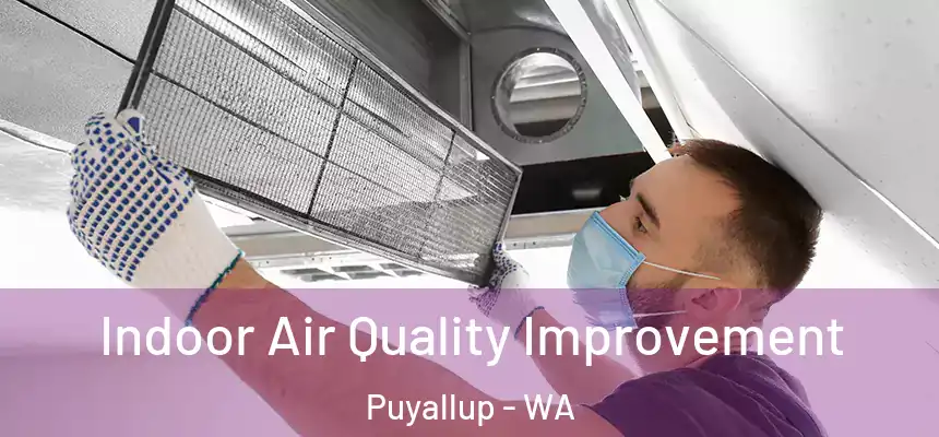  Indoor Air Quality Improvement Puyallup - WA