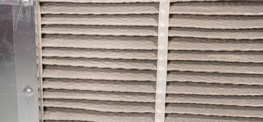 Mobile Car AC Filter Replacement in Puyallup