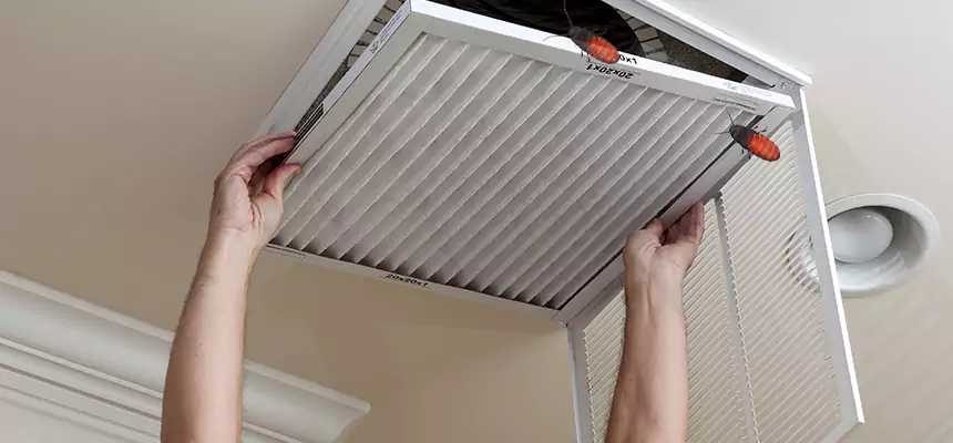 Preventive Cockroach-Proofing for Ducts in Puyallup