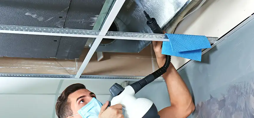 Our Air Duct Rodent Removal Services in Puyallup, WA
