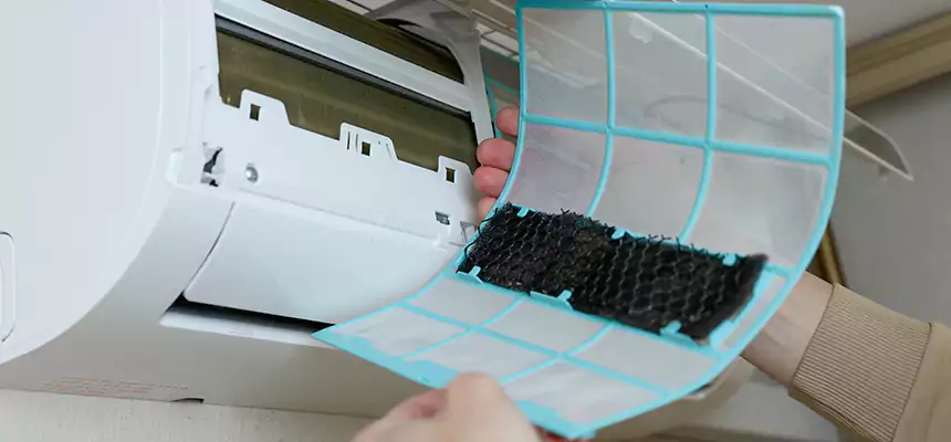 Gentle Ductwork Odor-Control Pet Dander Duct Cleaning in Puyallup, WA