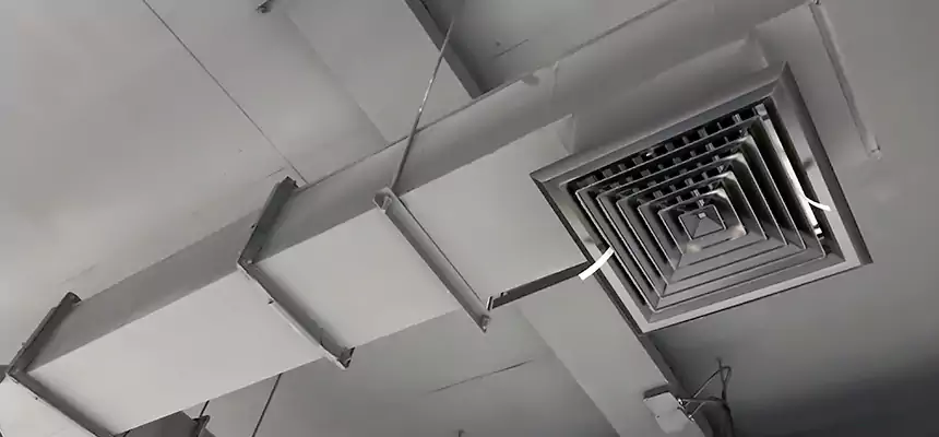 Our Rodent Droppings In Vents Services in Puyallup, WA