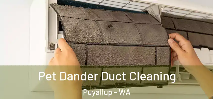  Pet Dander Duct Cleaning Puyallup - WA
