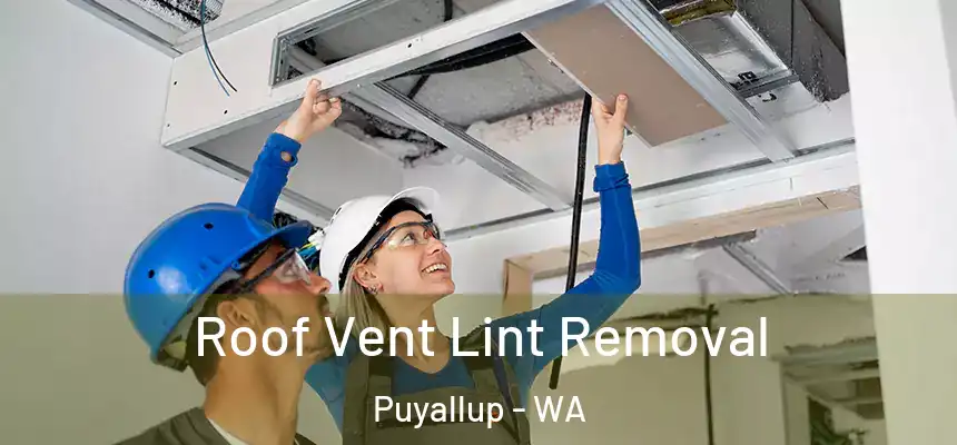  Roof Vent Lint Removal Puyallup - WA