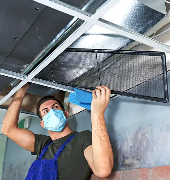 About Air Duct Bacteria Removal in Puyallup
