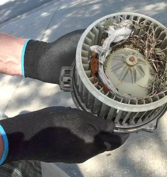 About Air Duct Rat Removal in Puyallup, WA