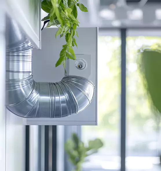 Professional Eco-Safe Dryer Vent Cleaning in Puyallup, WA