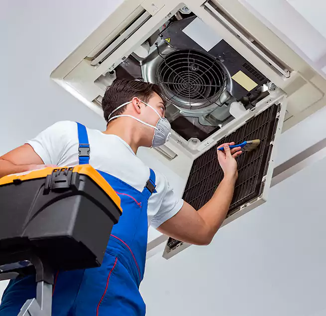 Why Homeowners & Businesses Trust Us in Puyallup, WA