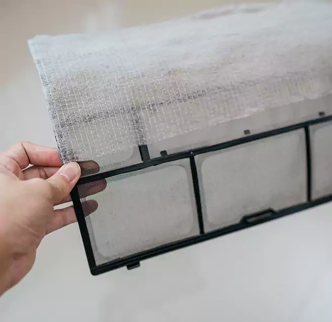 Why Homeowners & Businesses Trust Us in Puyallup, WA?