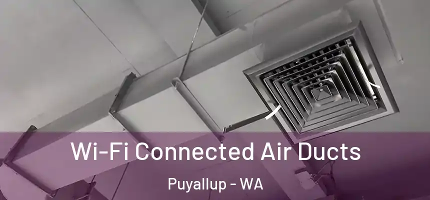  Wi-Fi Connected Air Ducts Puyallup - WA